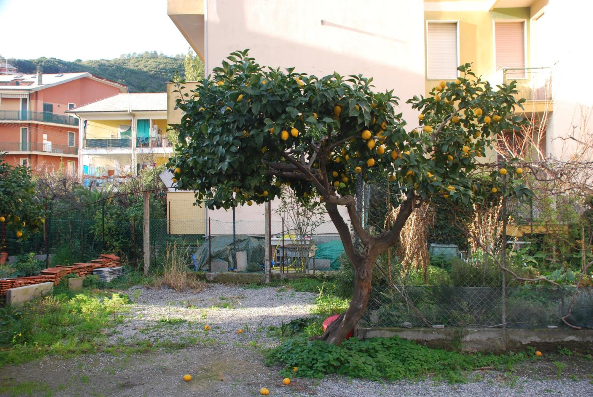 Tinetto Brezza Di Mare Apartman Deiva Marina Kültér fotó